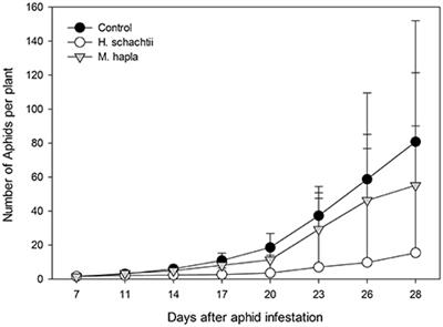 Differences in Hormonal Signaling Triggered by Two Root-Feeding Nematode Species Result in Contrasting Effects on Aphid Population Growth